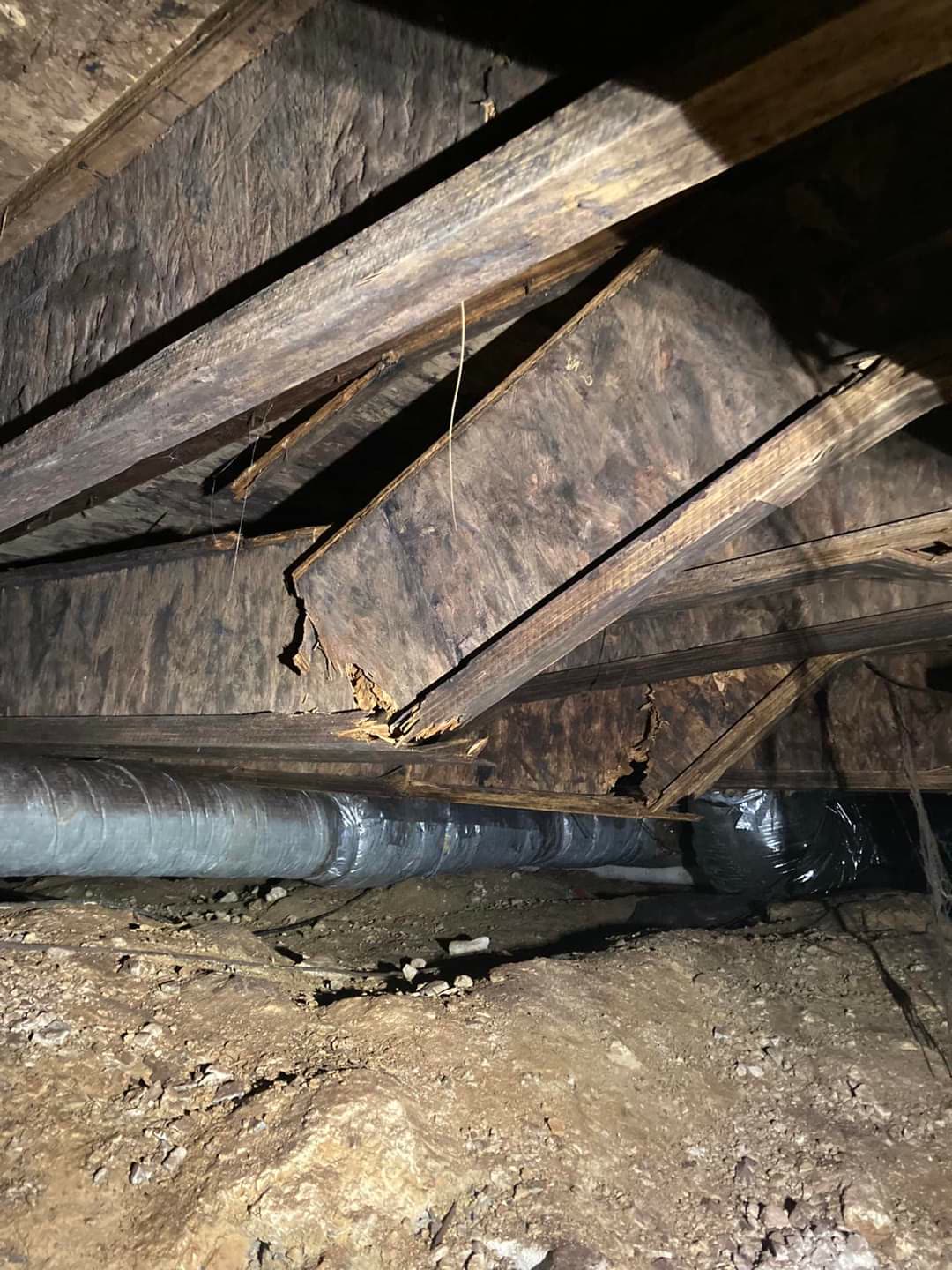 Floor joist moisture damage repair in the Chattanooga area by Mountain City Pros